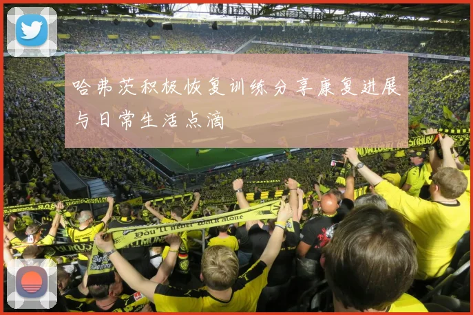 哈弗茨积极恢复训练分享康复进展与日常生活点滴