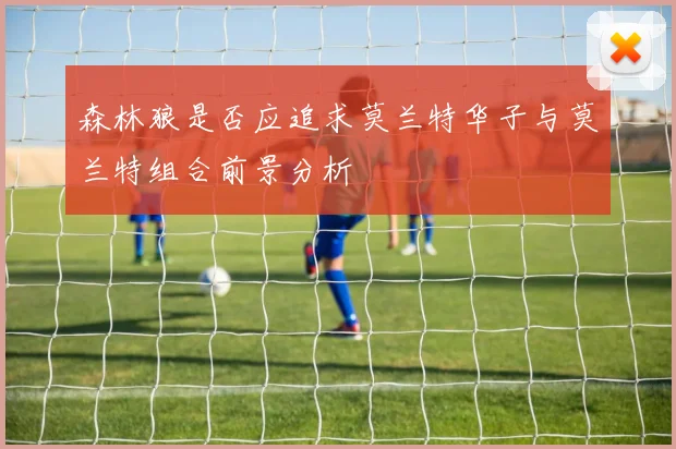 森林狼是否应追求莫兰特华子与莫兰特组合前景分析