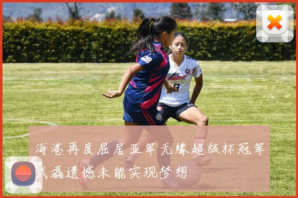 海港再度屈居亚军无缘超级杯冠军武磊遗憾未能实现梦想