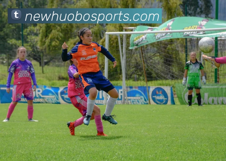 火博体育APP 封面图